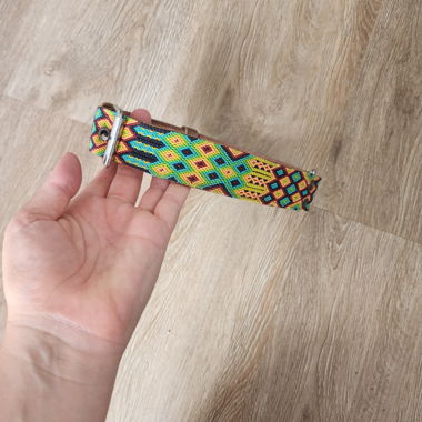 Hübsches Hunde Halsband