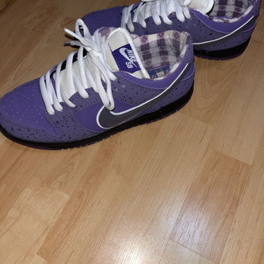 Nike SB Dunks Purple