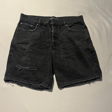 Zara Shorts