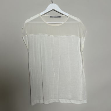 Sheer White Top