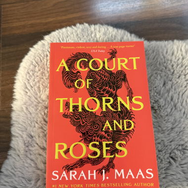 Une cour de ronces et de roses