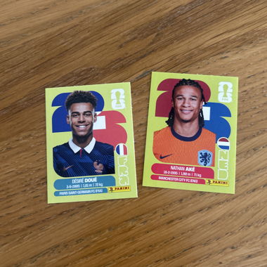 Panini Desire Doue card