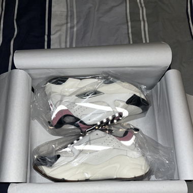 Dior B22 White/Rosa/Black