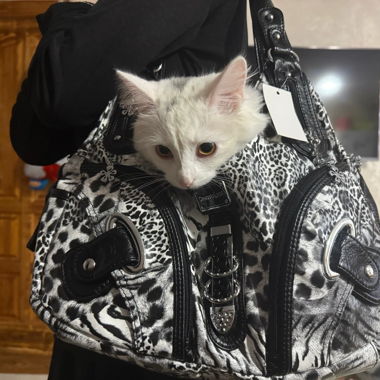 Borsa a tracolla con stampa animalier