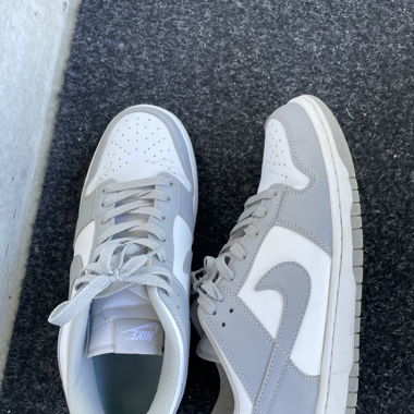 Nike Dunk Low gris