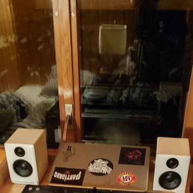 Audio engine A2 speaker