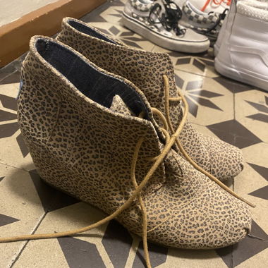 TOMS plateau leo