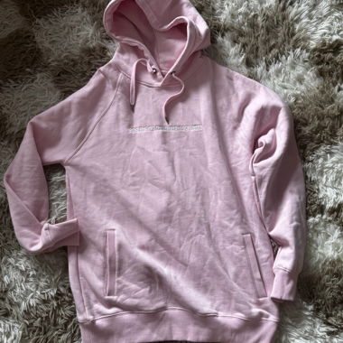 Hoodie rose Architects FTTWTE