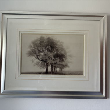 Framed Tree Wall Art