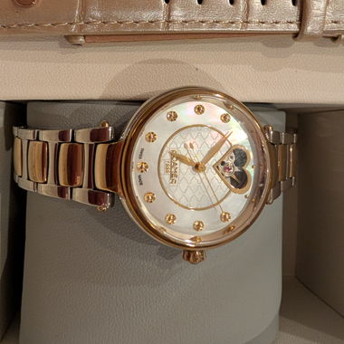 Women's Watch Set roamer