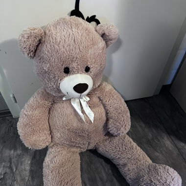 XXL Teddy