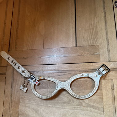 Buddy Belt mit Leine 