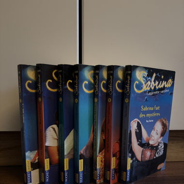 Livres Sabrina l apprentie sorcière 