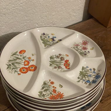  Assiettes compartimentées vintage Lot de 6