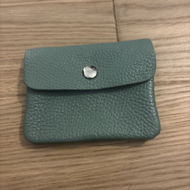 Green Leather Case