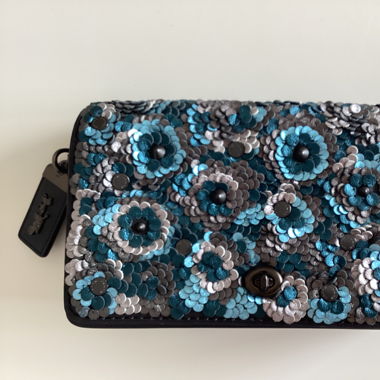 Coach Crossbody Bag