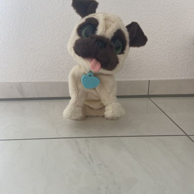 Chien de Jeu Interactif