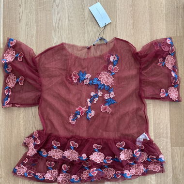 Zara Transparentes Top mit floraler Stickerei