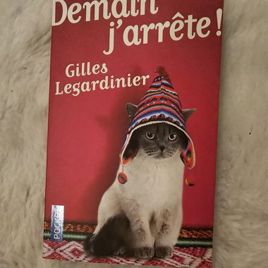 Buch - Gilles Legardinier - Demain j'arrête