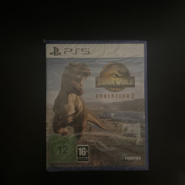 PS5 video game