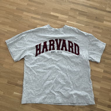 T-shirt Harvard grigio