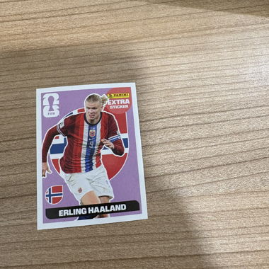 Panini Haaland Sticker