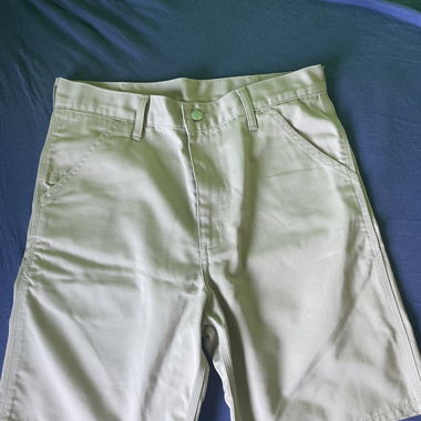 Kurze Hosen von Carhartt, W32