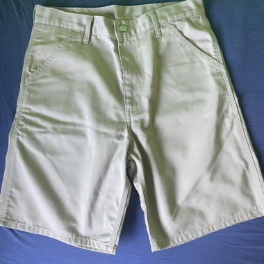 Kurze Hosen von Carhartt, W32