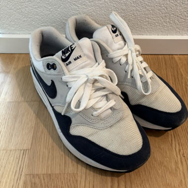 Nike Air Max 1