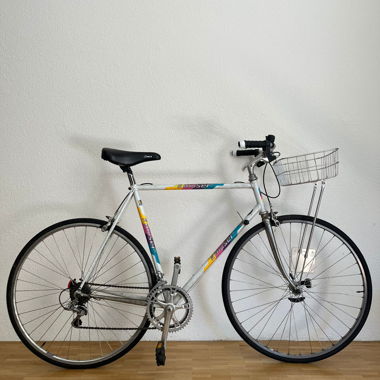 F. Moser Citybike