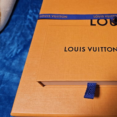 Armband von Louis Vuitton Original 450.- von Basel
