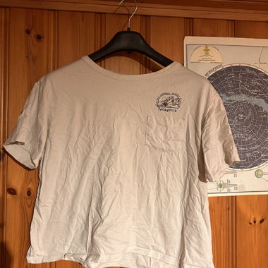 Patagonia T-Shirt