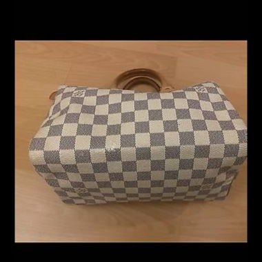 Louis Vuitton Speedy 25 Bag