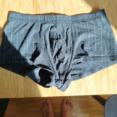 Boxer noir à rayures fines