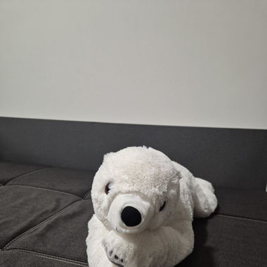 Eisbär Teddy 