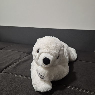 Eisbär Teddy 