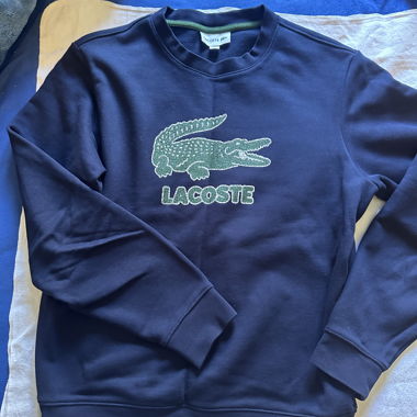 Pull Lacoste 