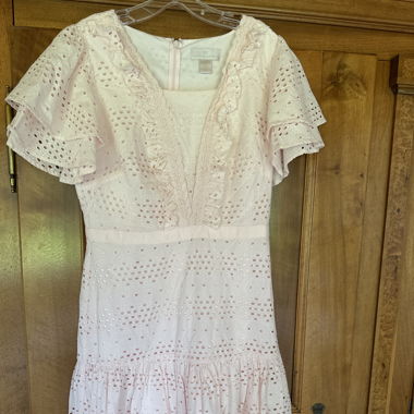 Rachel Parcell Dress