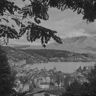 Allyouneedschweiz