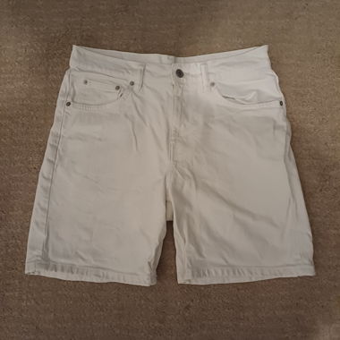 Zara Shorts