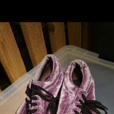 Vans shoes