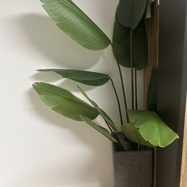 Artificial plant in tall pot