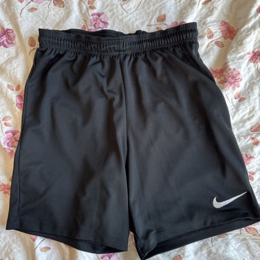 Nike Sport Shorts