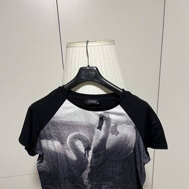 Schwanenshirt