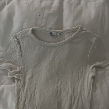 Zara crop top