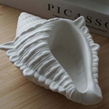 XL Ästhetische Muschel Schale