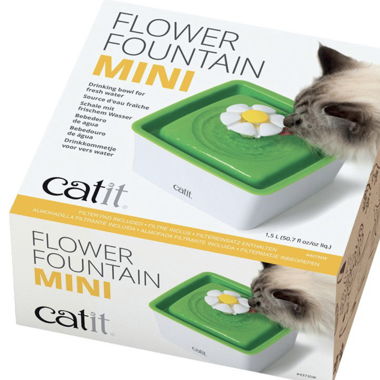 Fontaine à eau pour chat
