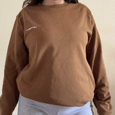 Felpa Carhartt marrone