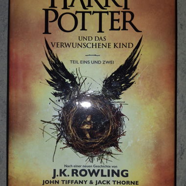 Libro di Harry Potter