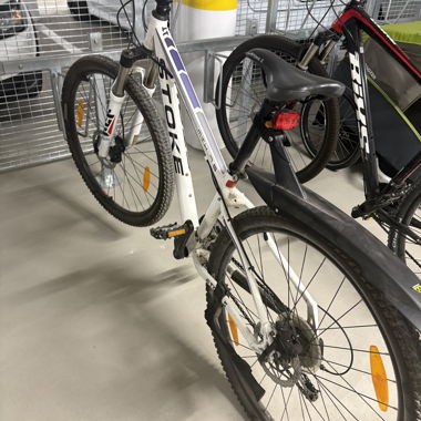 Bike Damen